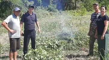 В Кавказском районе полицейские выявляют очаги дикорастущей конопли В