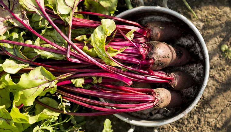 https://ognikubani.ru/wp-content/uploads/2023/03/top-view-vegetables-in-pot