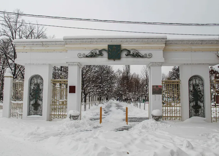 https://ognikubani.ru/wp-content/uploads/2021/02/IMG_6083