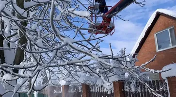 photo_2026-01-12_09-57-26