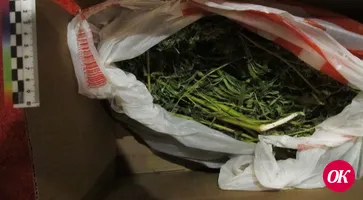 <strong>В Кавказском районе полицейские уличили местного жителя в незаконном изготовлении и хранении наркотиков</strong>