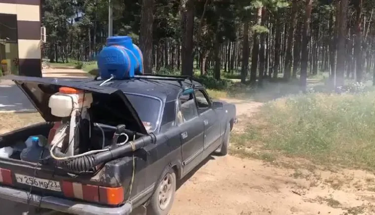 https://ognikubani.ru/wp-content/uploads/2023/07/photo_5269277144335370769_x