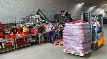https://ognikubani.ru/wp-content/uploads/2022/09/DSC_1517_1