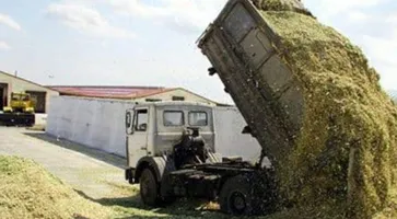 https://ognikubani.ru/wp-content/uploads/2021/08/ognikubani.ru-17-2