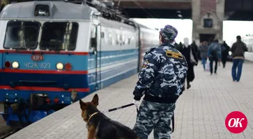 Вынесен приговор женщине, перевозившей в поезде героин
