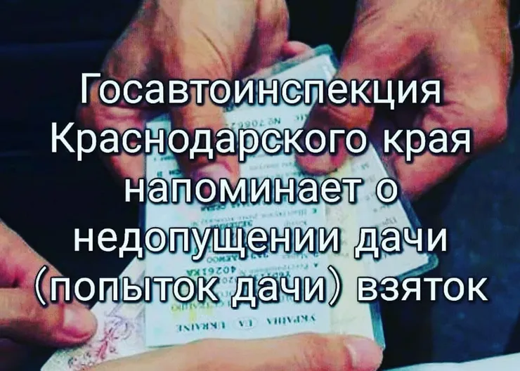https://ognikubani.ru/wp-content/uploads/2021/04/WhatsApp-Image-2021-04-28-at-11.05.58