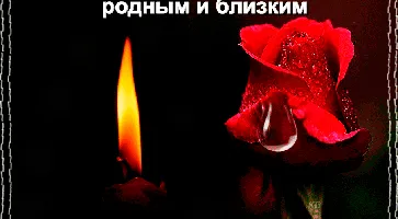 https://ognikubani.ru/wp-content/uploads/2020/02/image