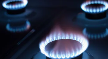 https://ognikubani.ru/wp-content/uploads/2021/10/ognikubani.ru-35-1