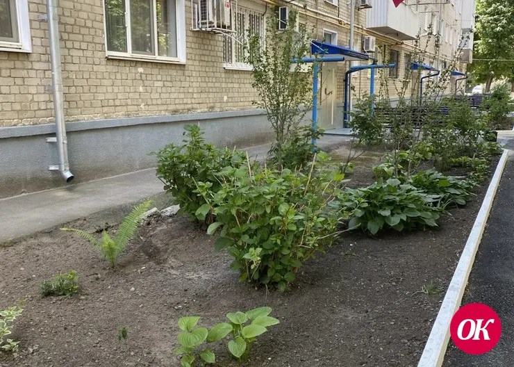 Границы шести из сорока городских органов ТОС расширили