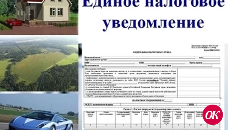 Проверь ставки, уточни льготы