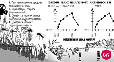 Удар! Еще удар!