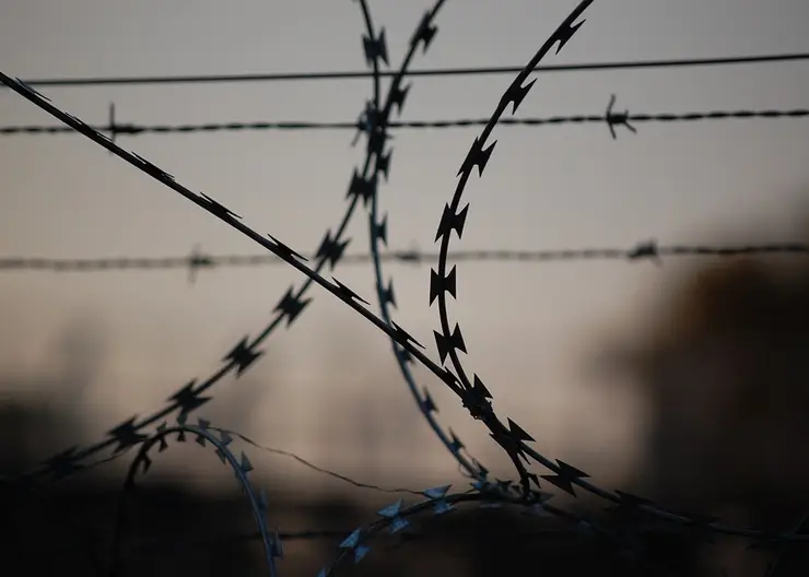https://ognikubani.ru/wp-content/uploads/2022/09/barbed-wire-765484_960_720