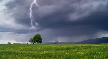https://ognikubani.ru/wp-content/uploads/2020/06/1499165503595b733f377a09.55916309