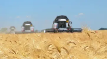 https://ognikubani.ru/wp-content/uploads/2023/06/photo_5249398944767789676_y
