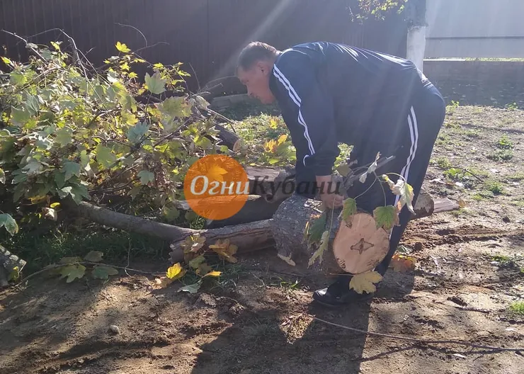 https://ognikubani.ru/wp-content/uploads/2019/10/f5bbb7b7-330e-43a9-bd74-fa0be2f82d4e