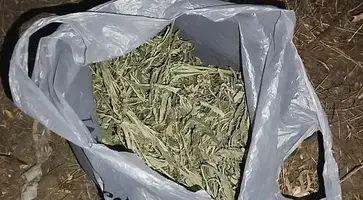 На САЙТ