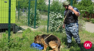 Полицейские приняли участие во Всероссийских учениях по антитеррористической защищенности объектов образования
