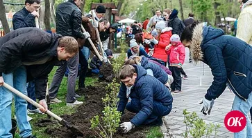 Порядка 100 тыс. жителей Кубани приняли участие во Всероссийском субботнике