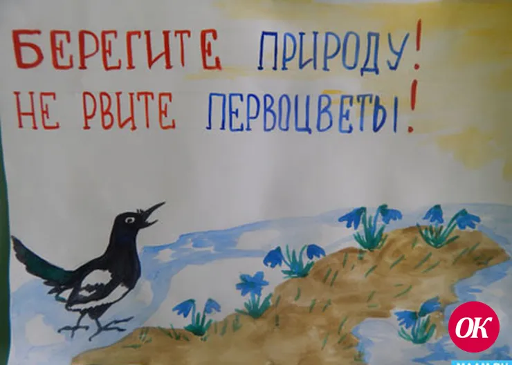 Ландыши, подснежники, цикламены — под защитой