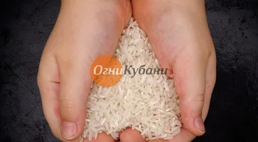 https://ognikubani.ru/wp-content/uploads/2019/09/Fotolia_80462369_Subscription_Monthly_M