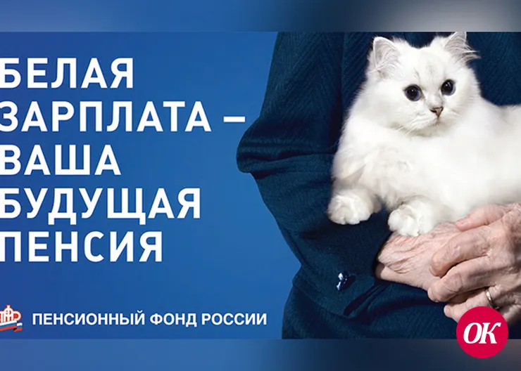 «Белая» зарплата — основа будущей пенсии