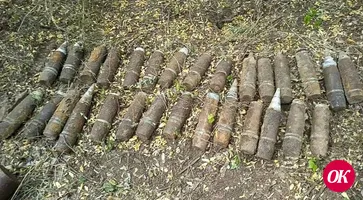 В Гулькевичском районе мужчина нашел в лесополосе 62 боеприпаса времен ВОВ