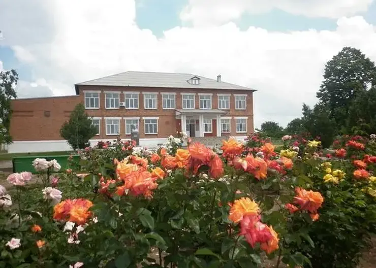 foto_school