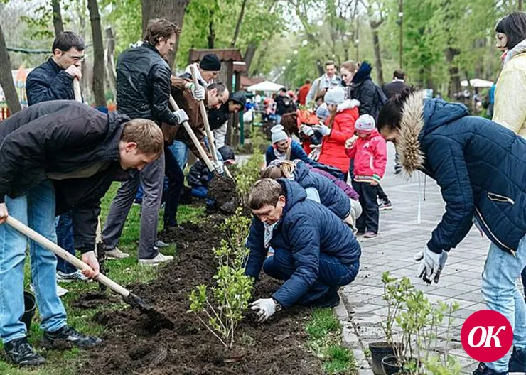 Порядка 100 тыс. жителей Кубани приняли участие во Всероссийском субботнике