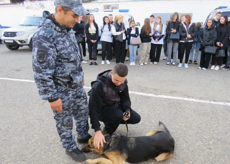 https://ognikubani.ru/wp-content/uploads/2023/11/Кинолог-3