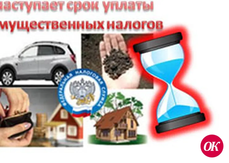 Срок уплаты налогов — 1 декабря