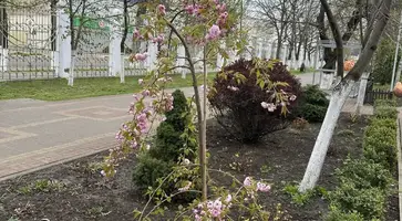IMG_20260409_100804