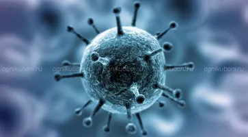 https://ognikubani.ru/wp-content/uploads/2020/03/koronavirus