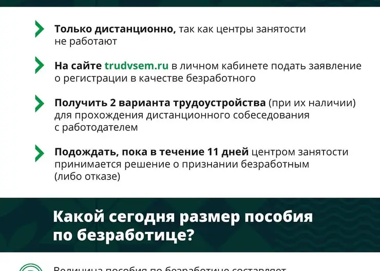 https://ognikubani.ru/wp-content/uploads/2020/04/93714502_232627951314264_7031813124297922506_n