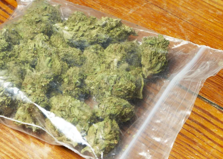 https://ognikubani.ru/wp-content/uploads/2022/09/weed