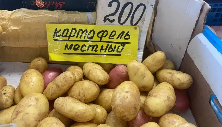 Дорогой наш картофель