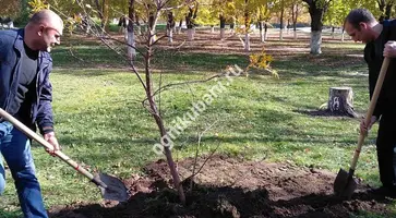 https://ognikubani.ru/wp-content/uploads/2019/11/IMG_20191108_124928_702