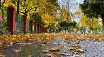 photo_5393551769642061539_y