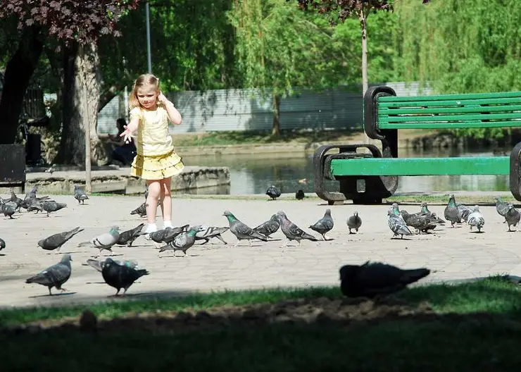 https://ognikubani.ru/wp-content/uploads/2020/06/ccffe8bb8ad05939e030918b62797732-2