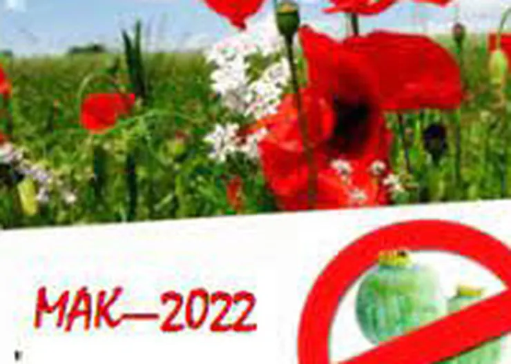 https://ognikubani.ru/wp-content/uploads/2022/08/мак-22-1
