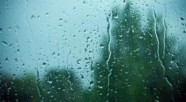 https://ognikubani.ru/wp-content/uploads/2020/05/s1200
