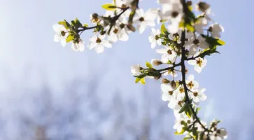 photo_5274248105124034993_y