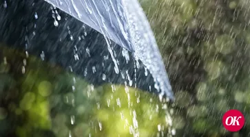 Неделя на Кубани начнется с дождей, зато потеплеет до 17 °С