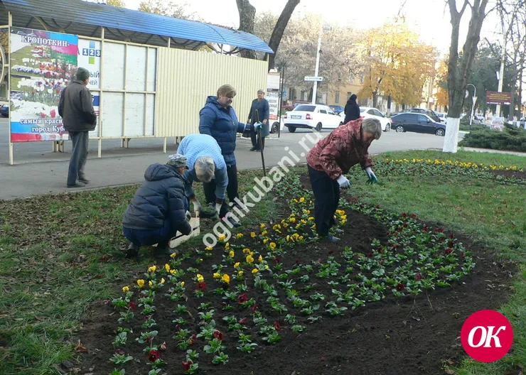На клумбах города Кропоткина опять работают озеленители