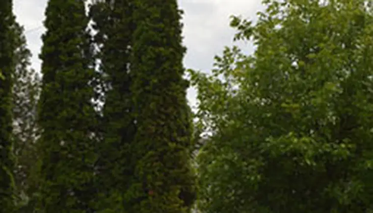 http://www.ognikuban.tw1.ru/wp-content/uploads/2017/06/DSC_2132qazzar