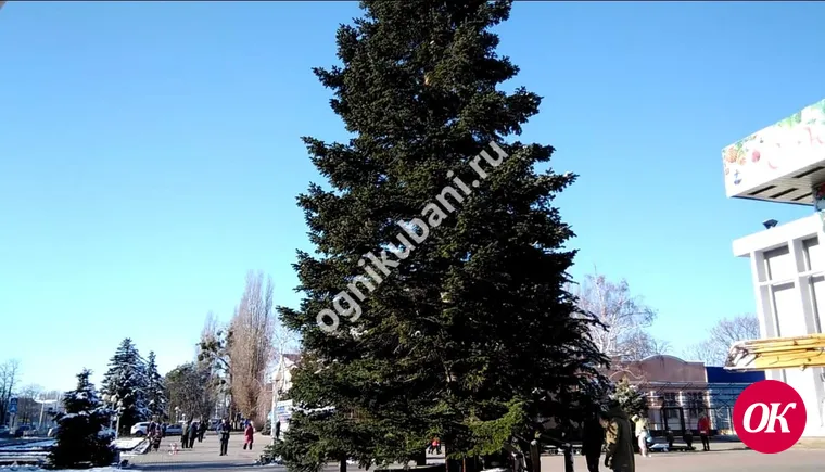 Новогодняя елка сегодня украсила главную площадь Кропоткина