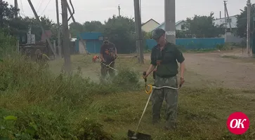 В сосновой роще Кропоткина проведен субботник