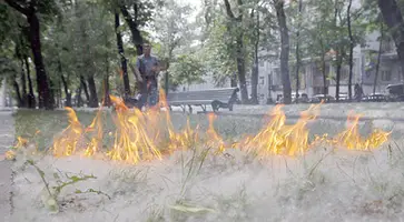 http://www.ognikuban.tw1.ru/wp-content/uploads/2015/05/1370433004_852229_56