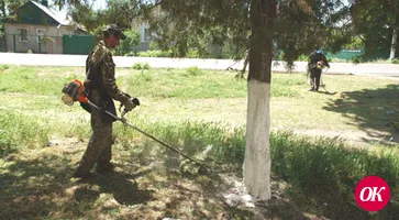 У двора трава...