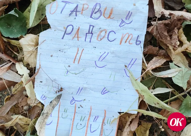 Радость лежит в куче опавших листьев