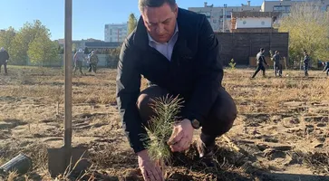 photo_13_2024-11-20_14-52-26